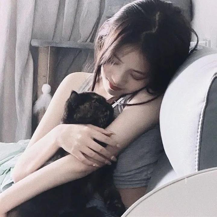 罪案终结第五季